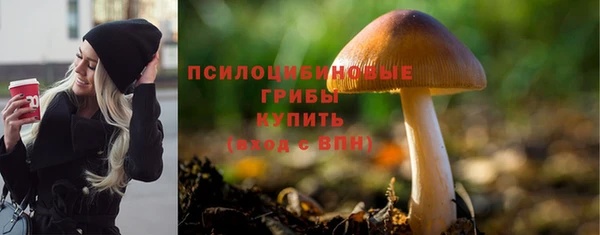 ГАЛЛЮЦИНОГЕННЫЕ ГРИБЫ Краснослободск